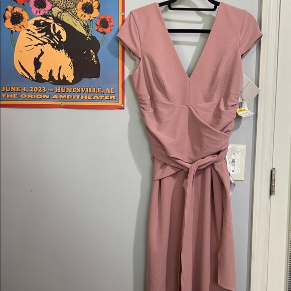 Dress the Population “Dana” Shirred Waist Dress in Light Mauve Size Medium NWT - Picture 15 of 16